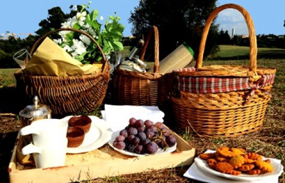 Come nasce la tradizione del pic nic?