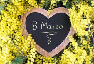 Le mimose, simbolo della festa della donna