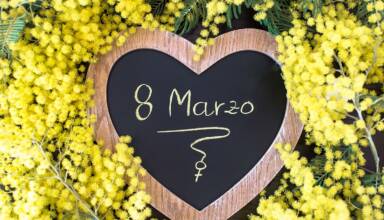 Le mimose, simbolo della festa della donna