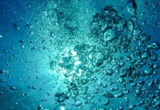 World Water Day, l'importanza del bene naturale